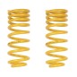 jeu de 2 ressorts AR KING SPRINGS Progressifs +40 mm HD KZJ et KDJ 90-95