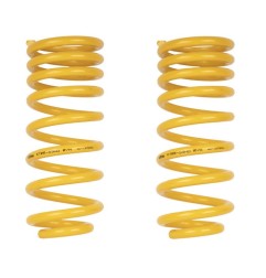 Jeu de 2 ressorts AR KING SPRING MEDIUM KZJ KDJ 90 95