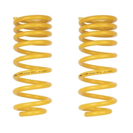 Jeu de 2 ressorts AR KING SPRING MEDIUM KZJ KDJ 90 95